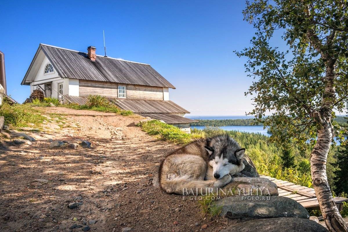 соловки, соловецкие острова, анзер, Юлия Батурина