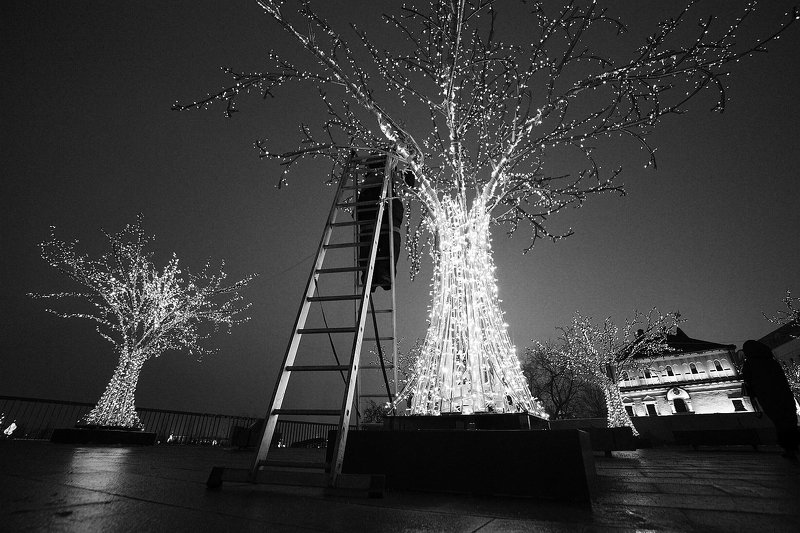 ночь, иллюминация, праздник, рождество, новый год, стремянка, лестница, урожай Время сбора урожая фото превью
