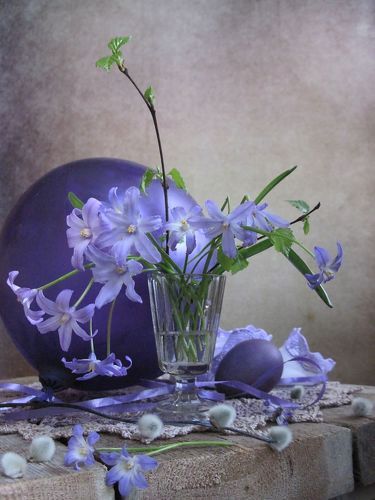 Все оттенки сиреневого