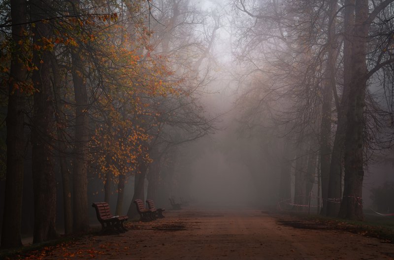 Парк Стромовка. фото превью