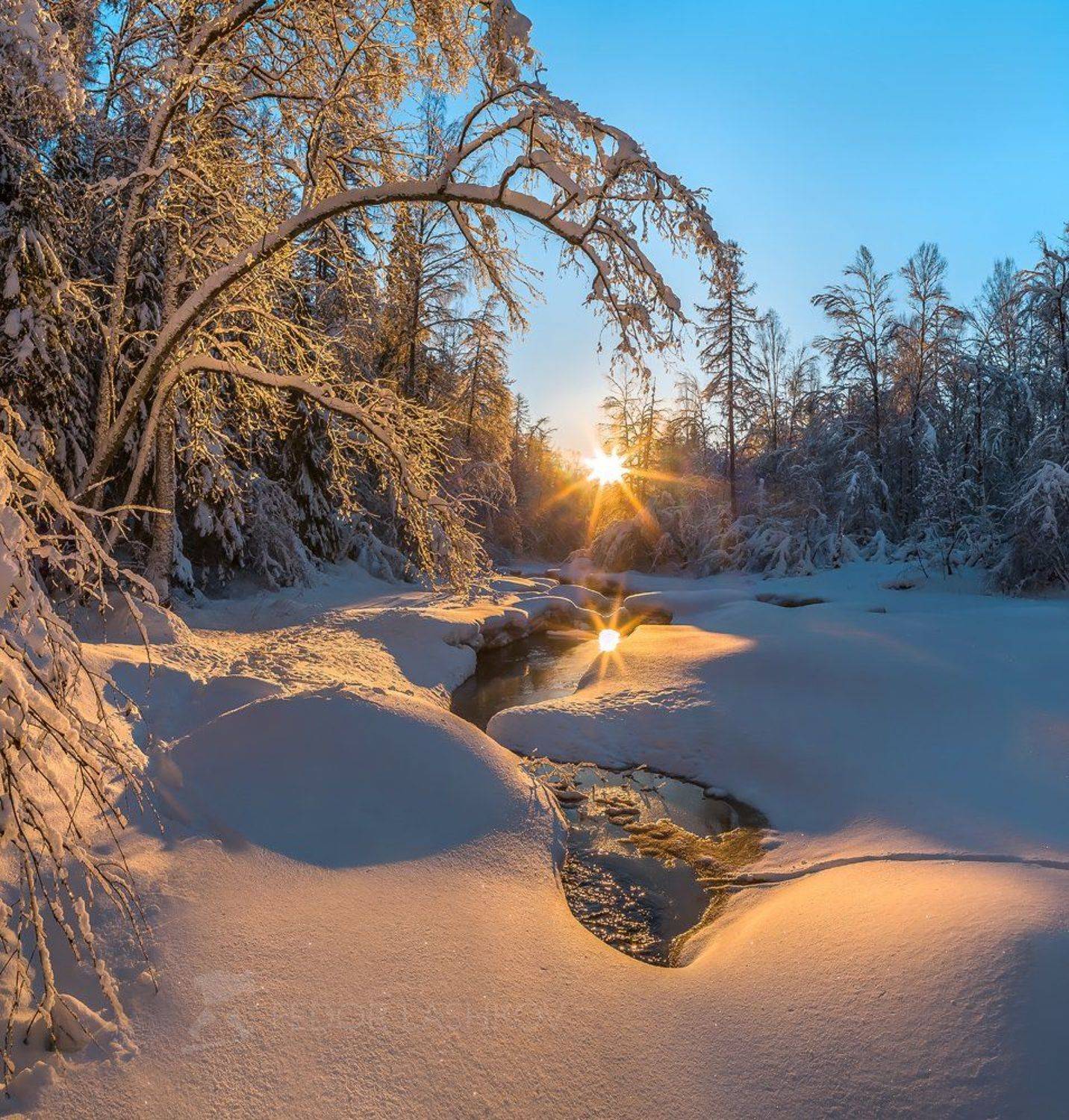 ленинградская область, закат, снег, зима, лес, река, лёд, берег, рощинка, иней, отражение, вода, солнце,, Лашков Фёдор