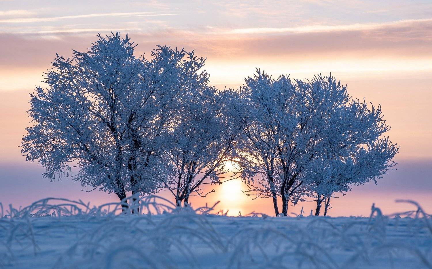 зима, Евгений Дроботенко