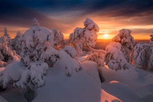 В стране снежных чудищ