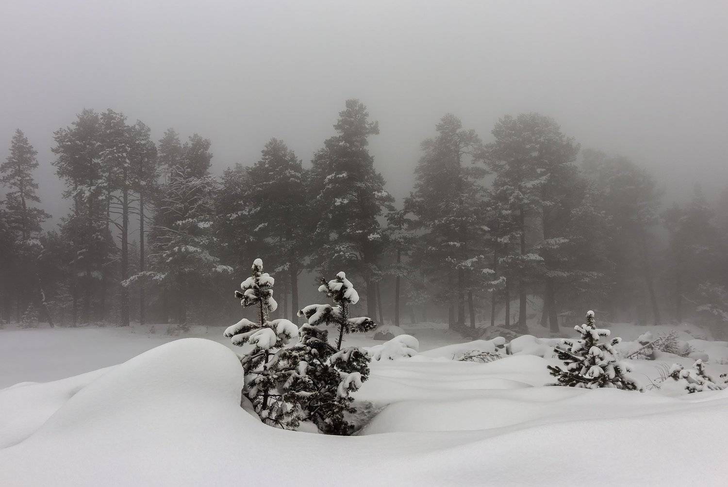 горы, эльбрус,кавказ,туман,  Эстелла