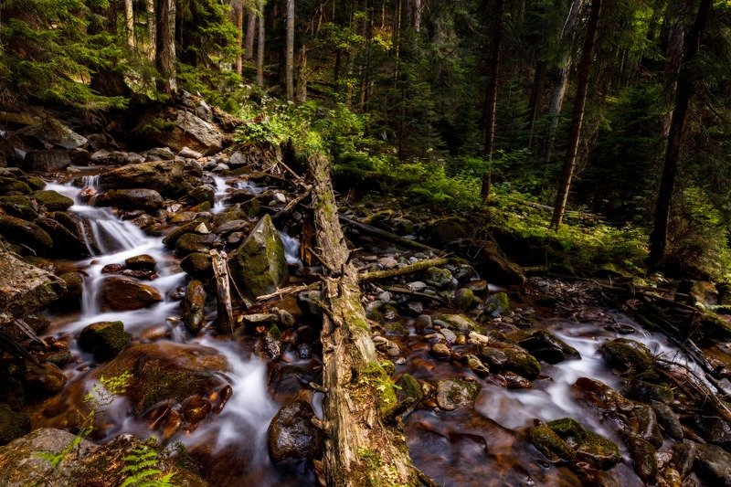 Пейзажи России фото превью