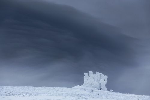 Замёрзшие