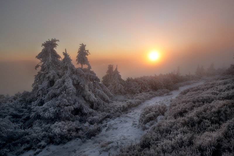 Sunrise фото превью