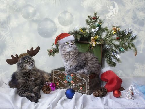 Веселого Рождества!