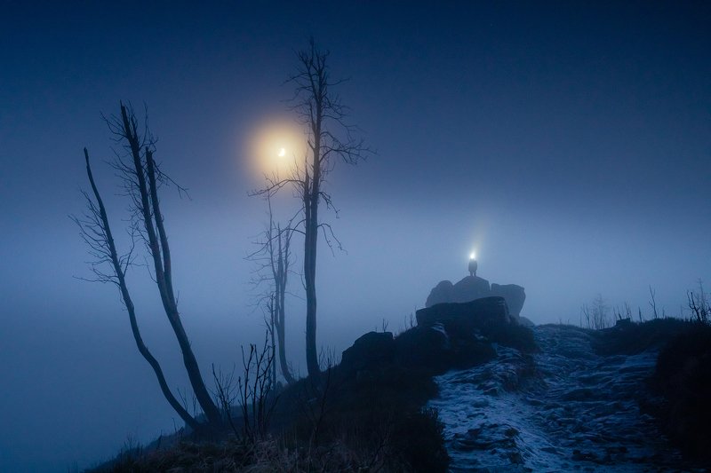 In the moonlight
