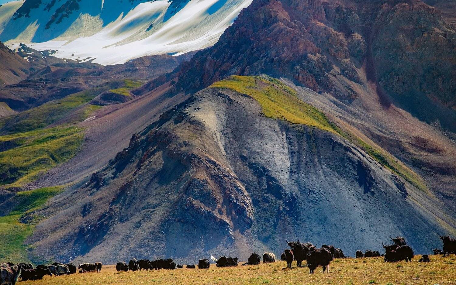 кыргызстан, горы, Элина Магалимова