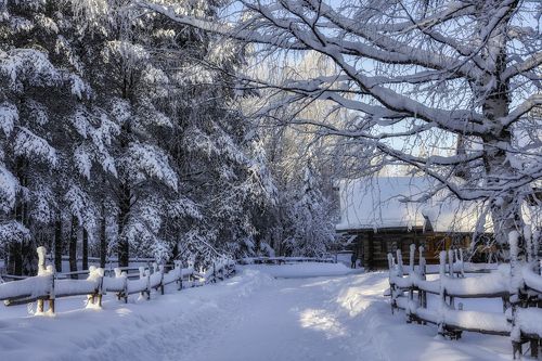 Хитросплетения зимы