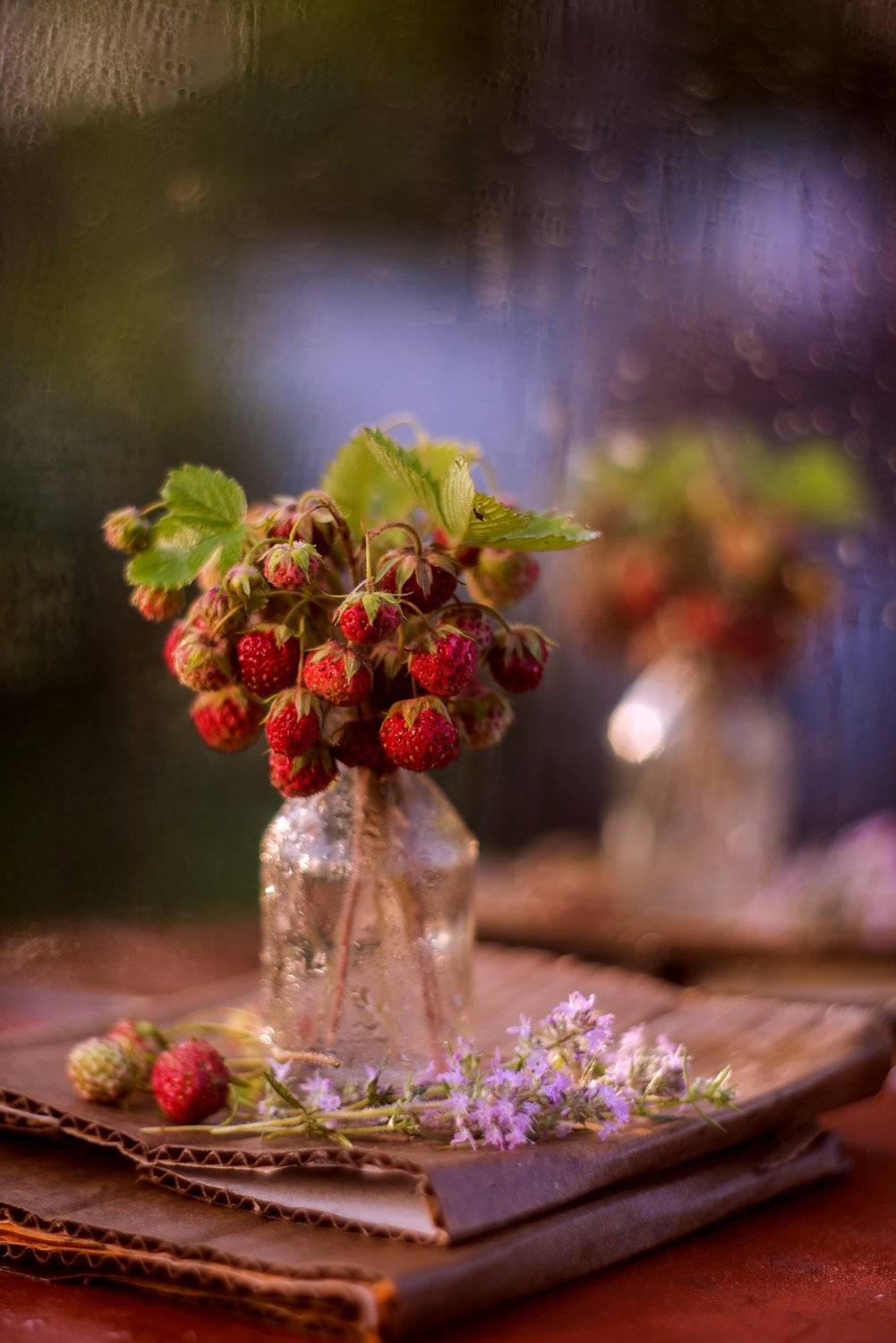 , Елена Вапняр