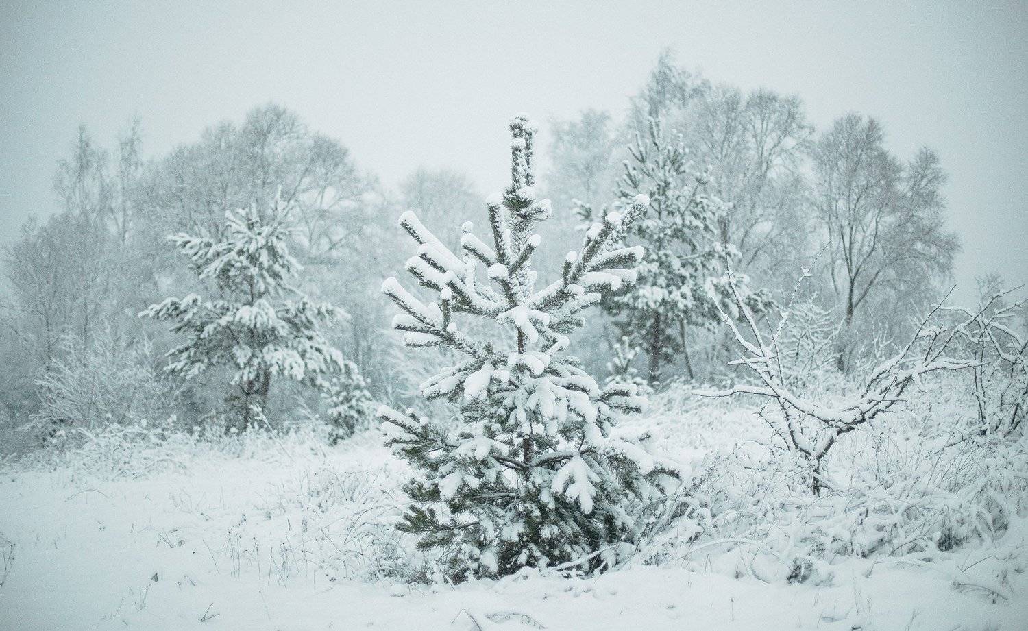 , Землянский Сергей
