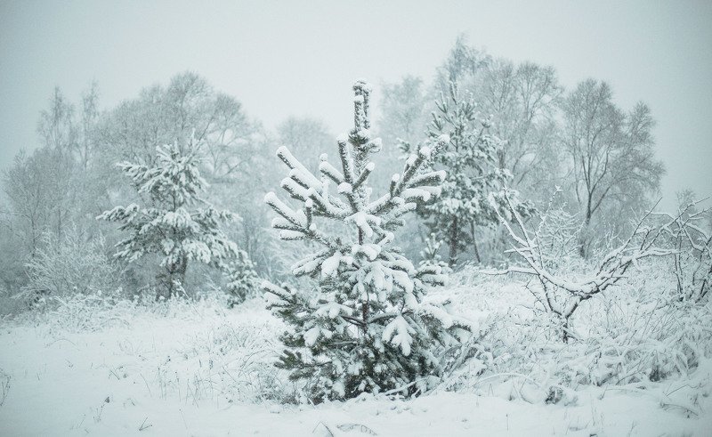 *** фото превью
