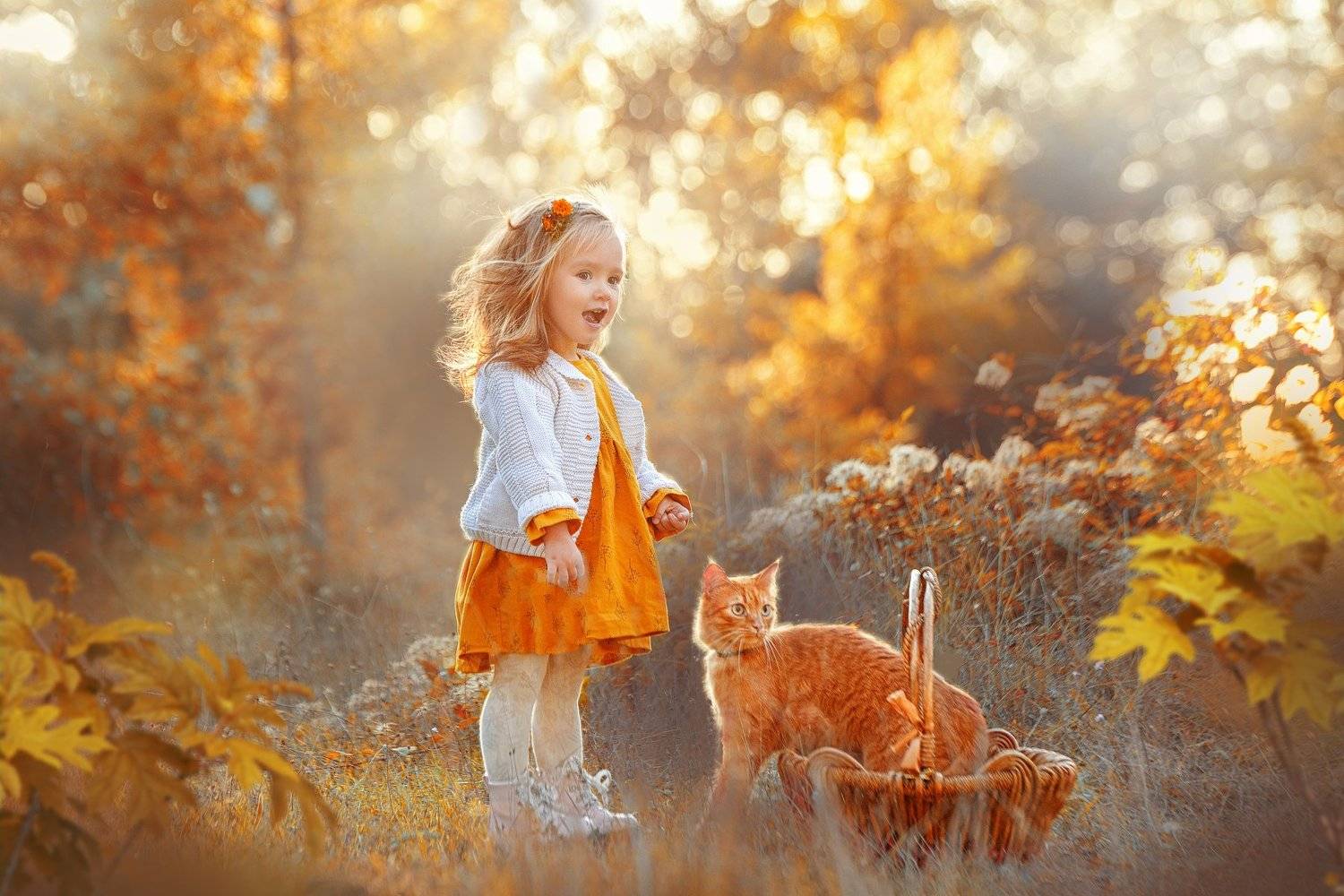 , Надежда Заручевская