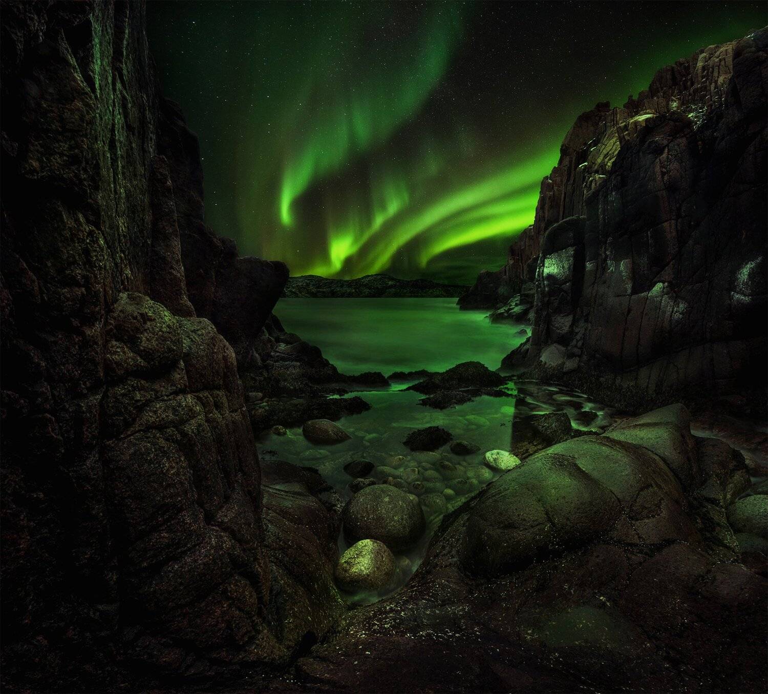 , Елена Ермолина