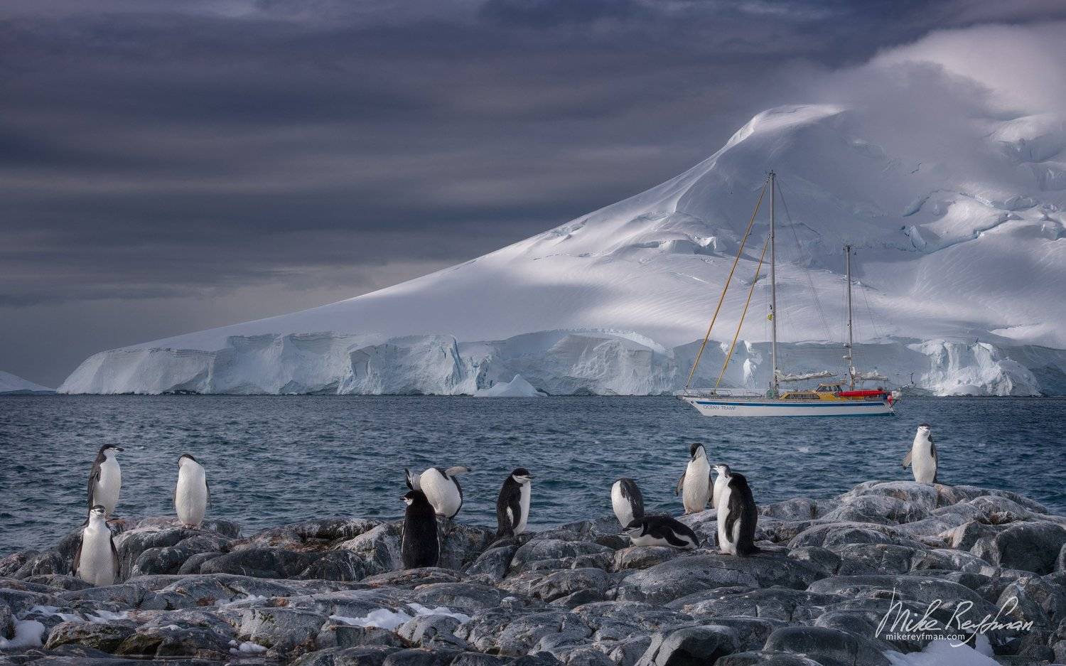 dramatic, polar climate, antarctic, antarctica, cold, romantic, extreme, gentoo penguin, chinstrap penguin, Майк Рейфман