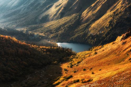 Планета Кардывач