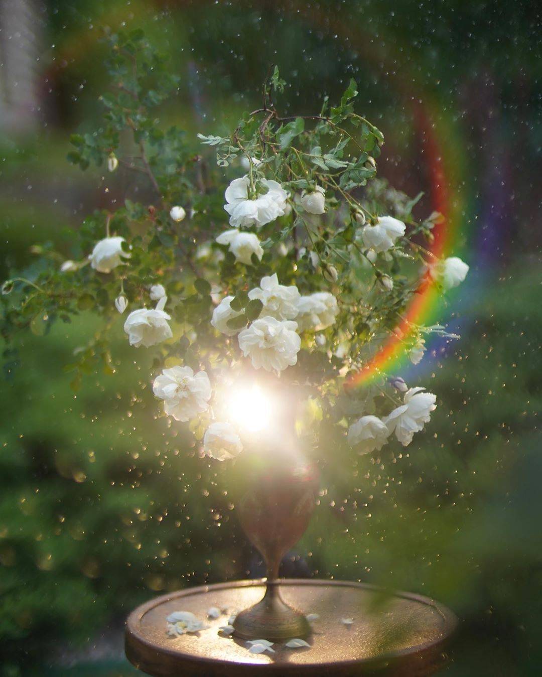 лето, цветы, букет, свет, боке, Анастасия Зубкова