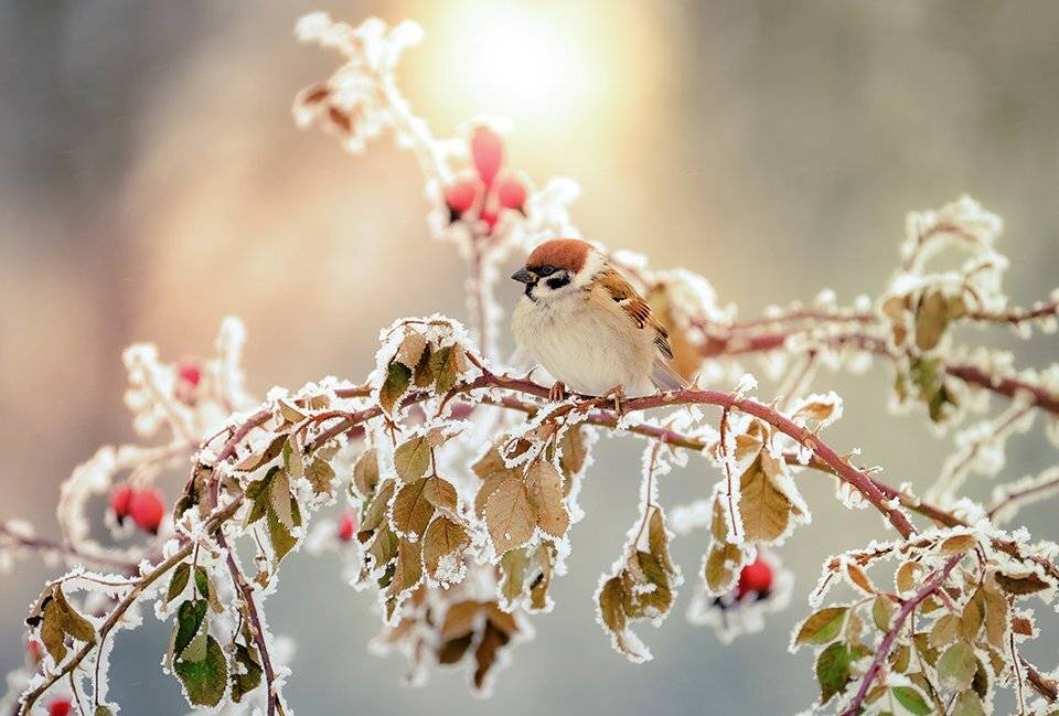 , Игорь Кляхин