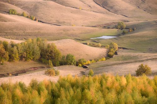 Краски осени