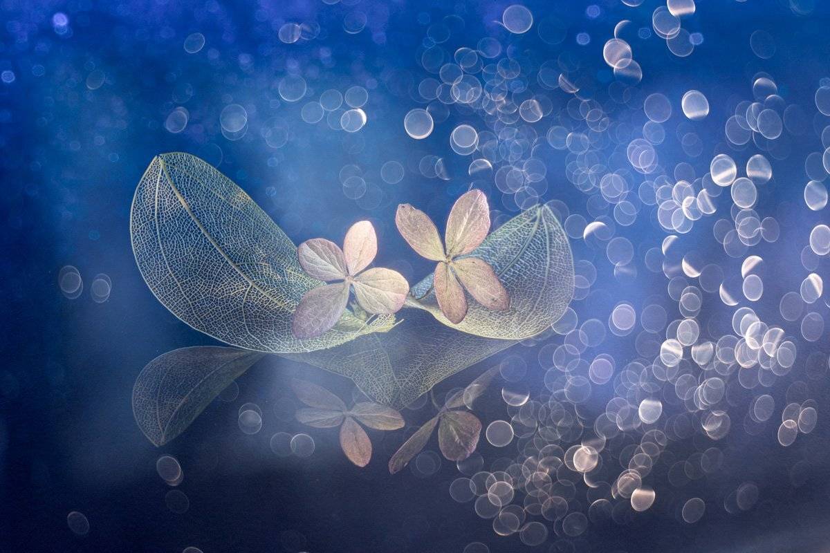 close-up, Игорь Копцев