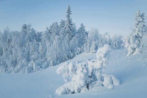 Утро севера