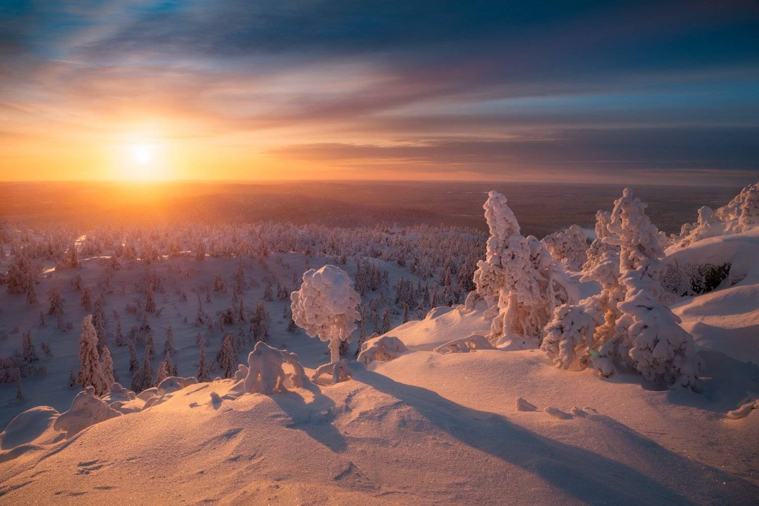 снег, зима, вечер, закат, ёлки, финляндия, Cтанислав Малых