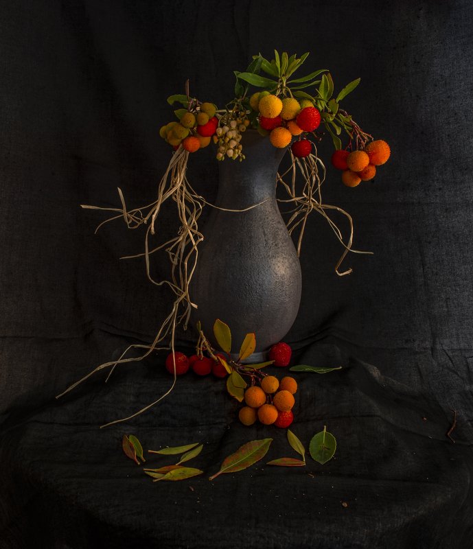 Fragaria vesca фото превью