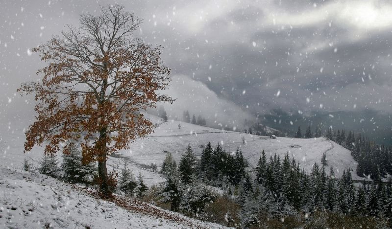 Осенний форпост фото превью