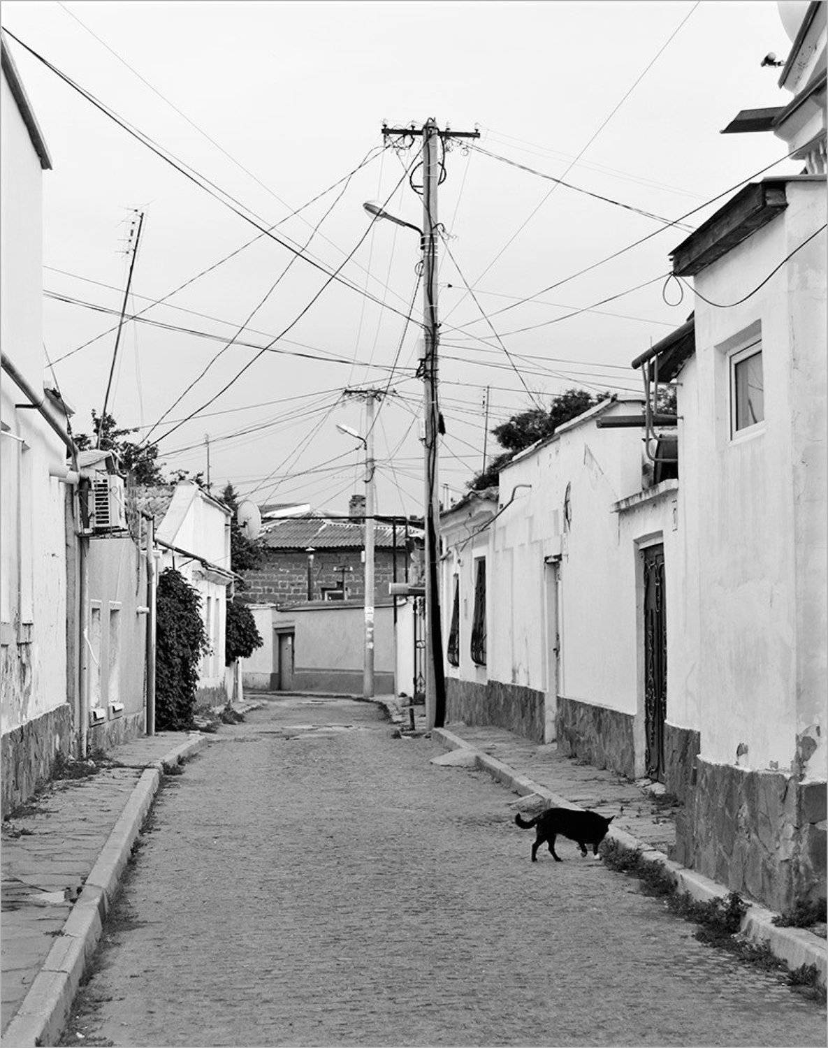 , Сергей Никсон