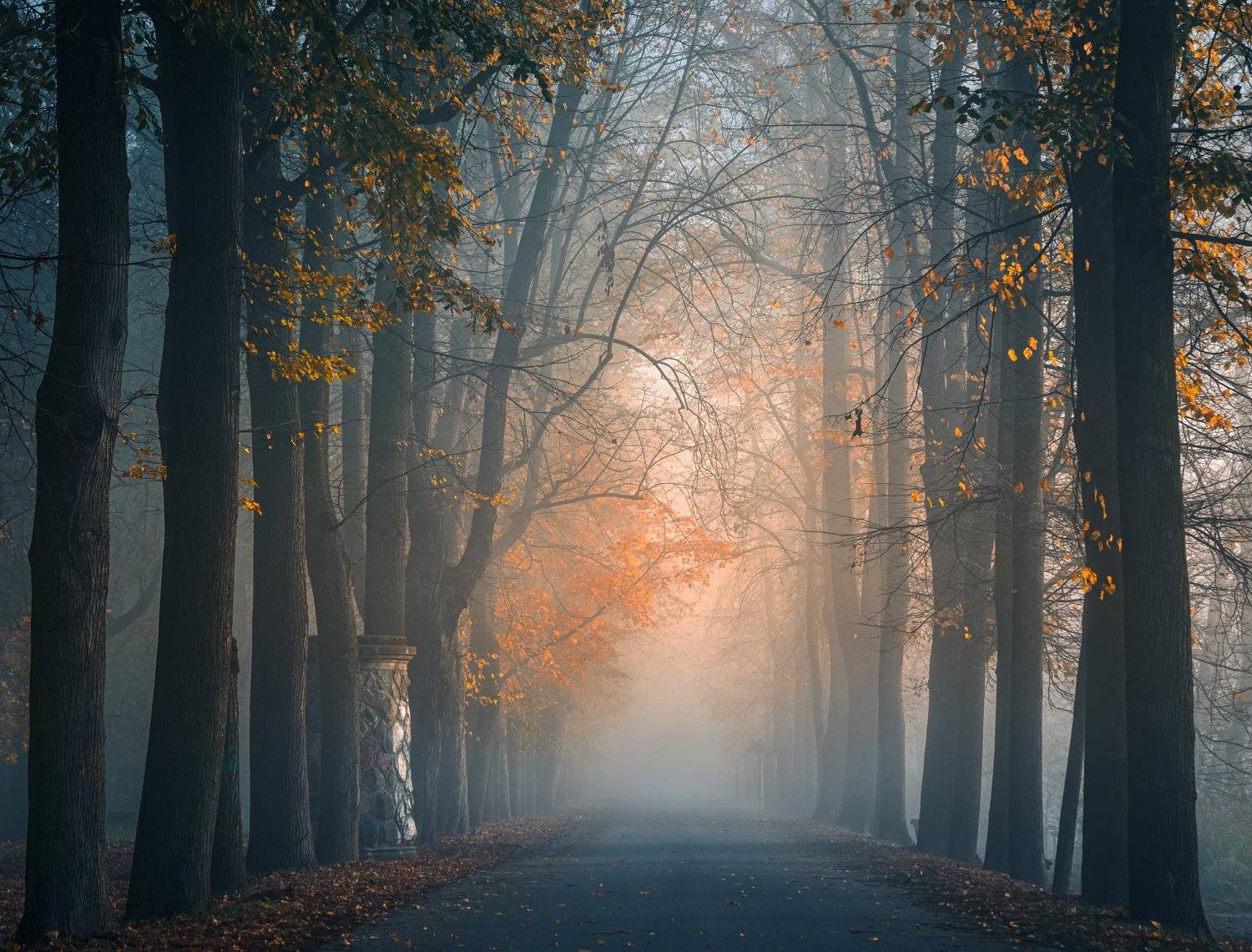 горизонтальный,  нет людей,  фотография,  на улице,  дерево,  осень,  природа,  вода,  отражение,  озеро,  пейзаж - пейзажи,  лист,  день,  лес,  спокойная сцена, Андрей Ожерельев