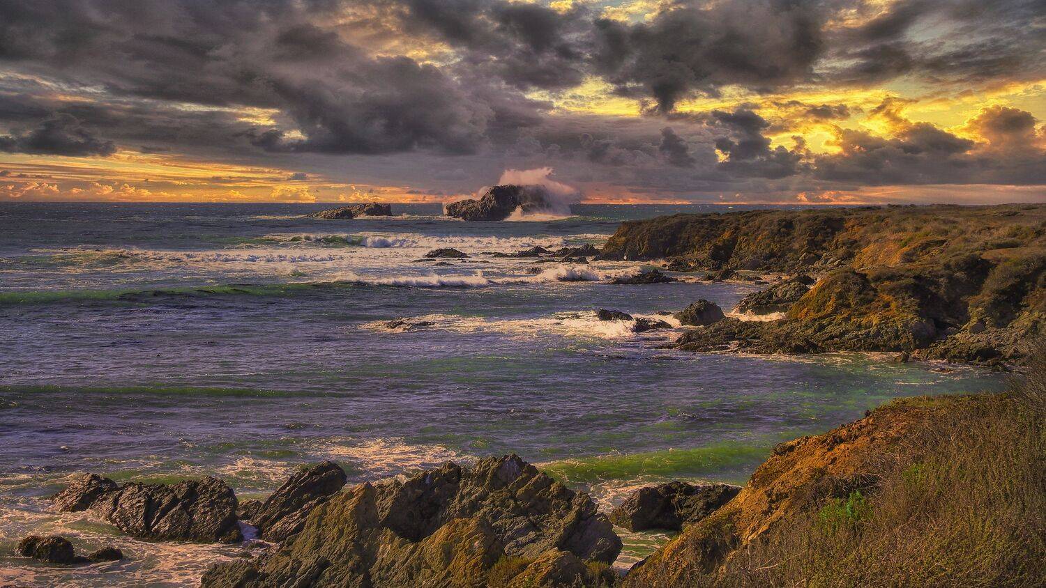 , Евгений Шварцман