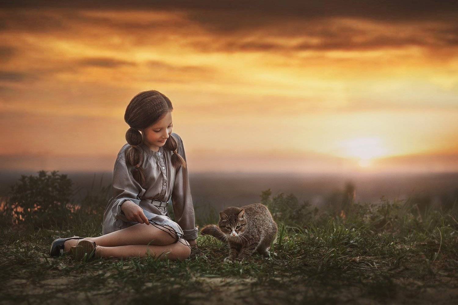 кот, играть, девочка, портрет, ребенок, детство, кошка, закат, природа, вечер, Мила Шелест