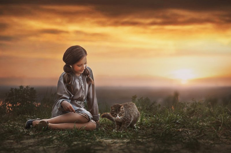 кот, играть, девочка, портрет, ребенок, детство, кошка, закат, природа, вечер Девочка с котом. фото превью