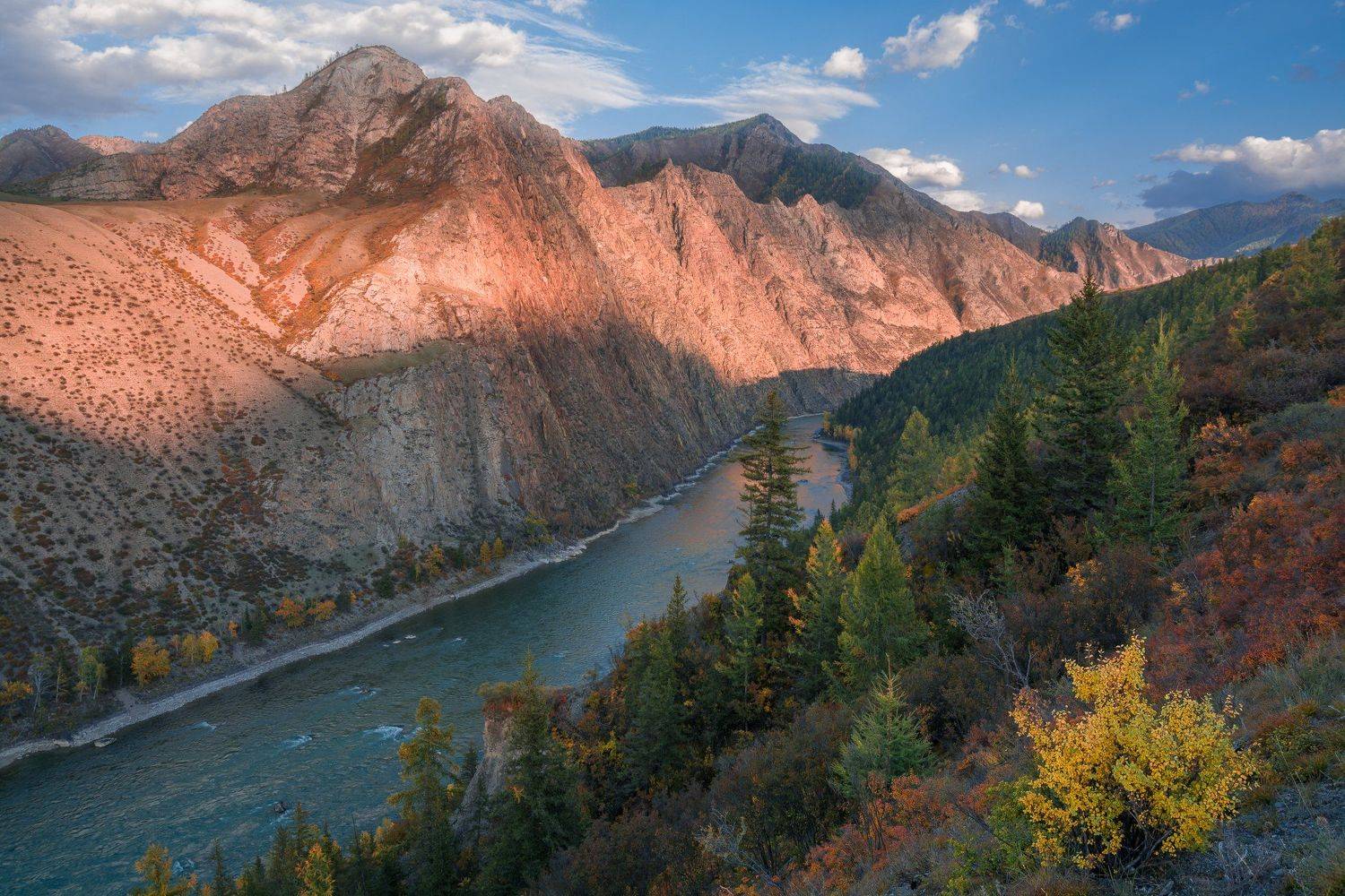россия, горный алтай, река катунь, осень, вечер, Андрей Поляков