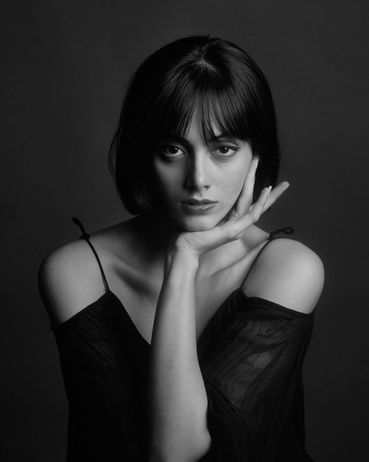 , Hamidreza Sheikhmorteza