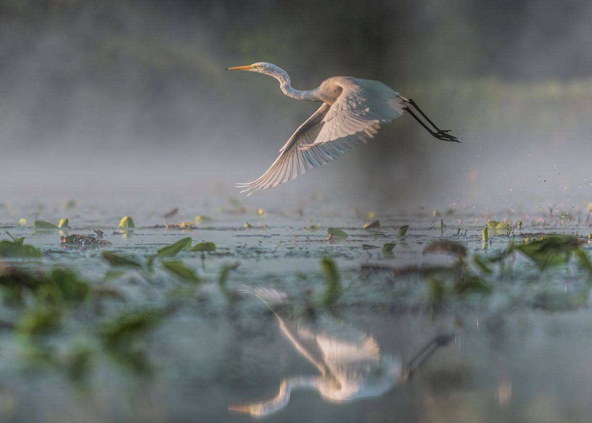 , Sławek Przybylski