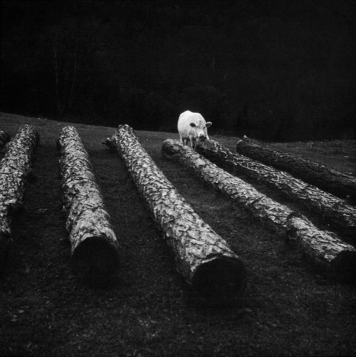 Му-минор. оргАн.
