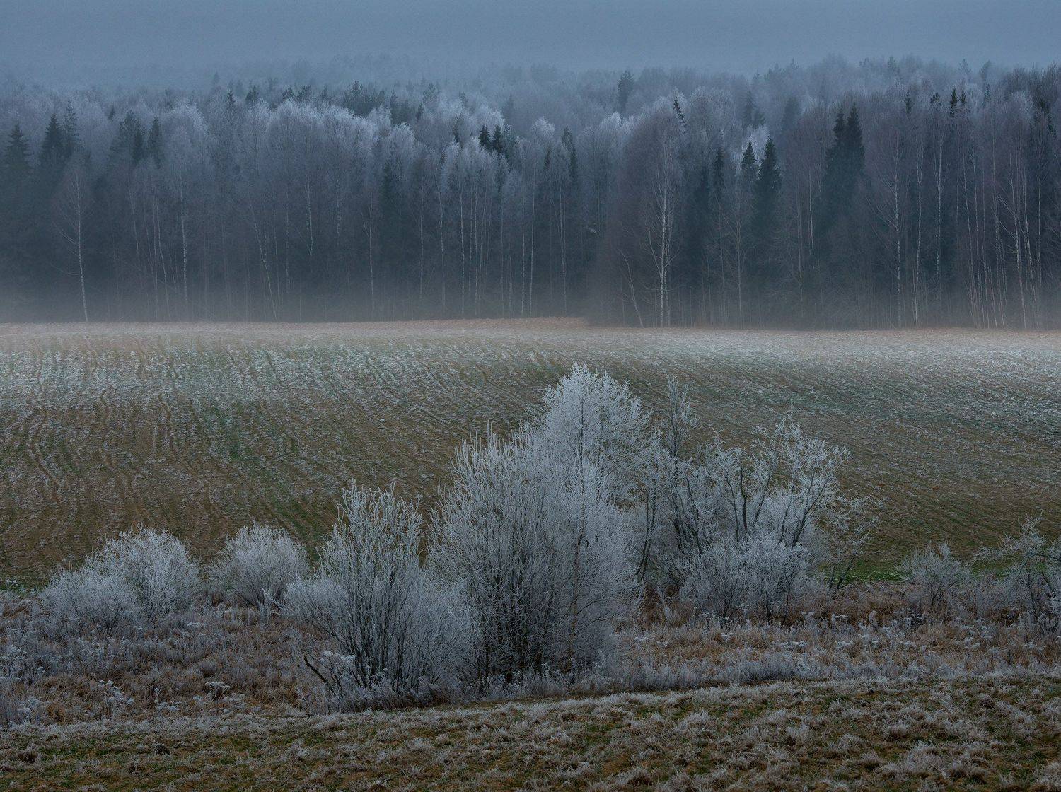 Фототуры с Владимиром Рябковым, изморозь, #topnature #russpasibo #magic_shots #lovelyRussia #sunset_vision #exclusive_sky  #exclusive_shots #loves_russia2 #photoarena_nature #nature_sultans #nature_perfection #rsa_sky #rsa_sunset #photorussia #rsa_naturep, Владимир Рябков