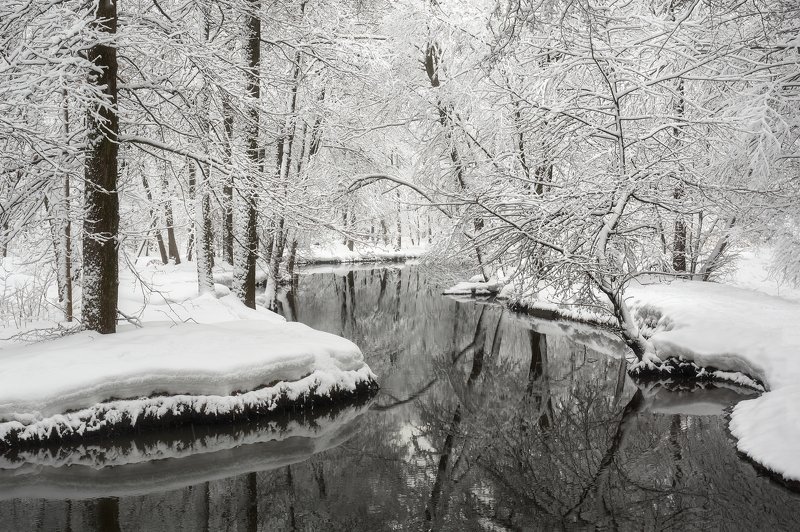 Dark waters фото превью