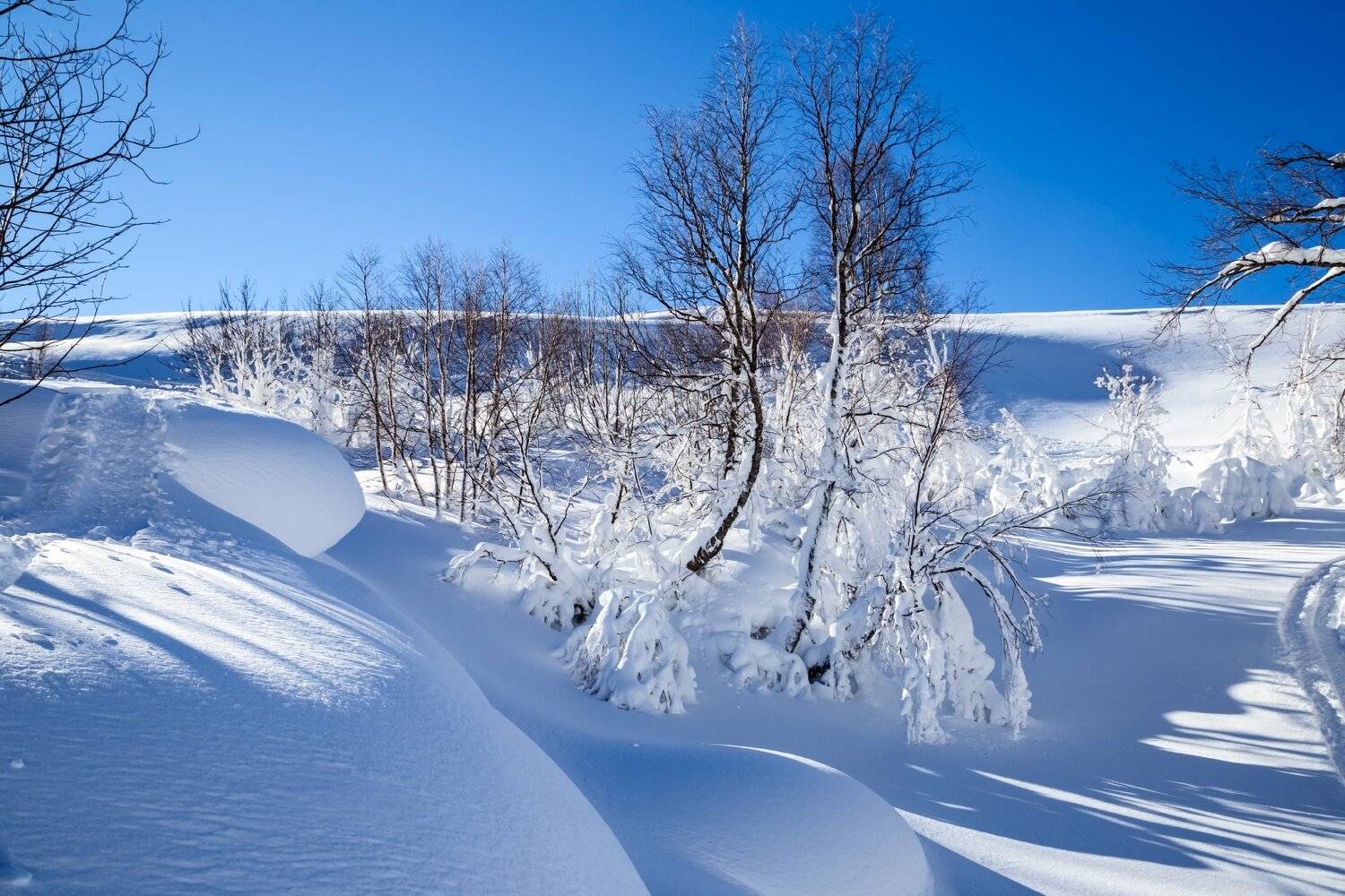 , Алексей Рыльский