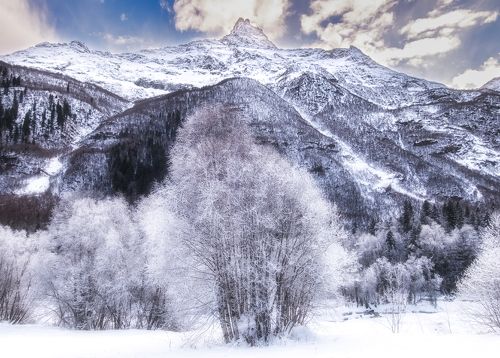 Белалакая