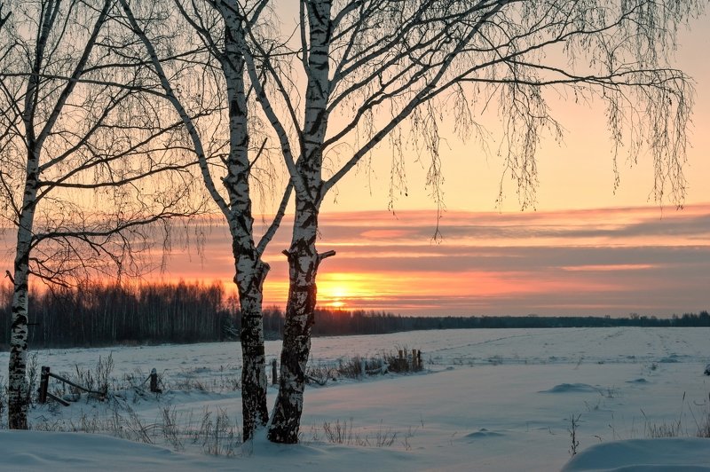 Декабрьский рассвет фото превью