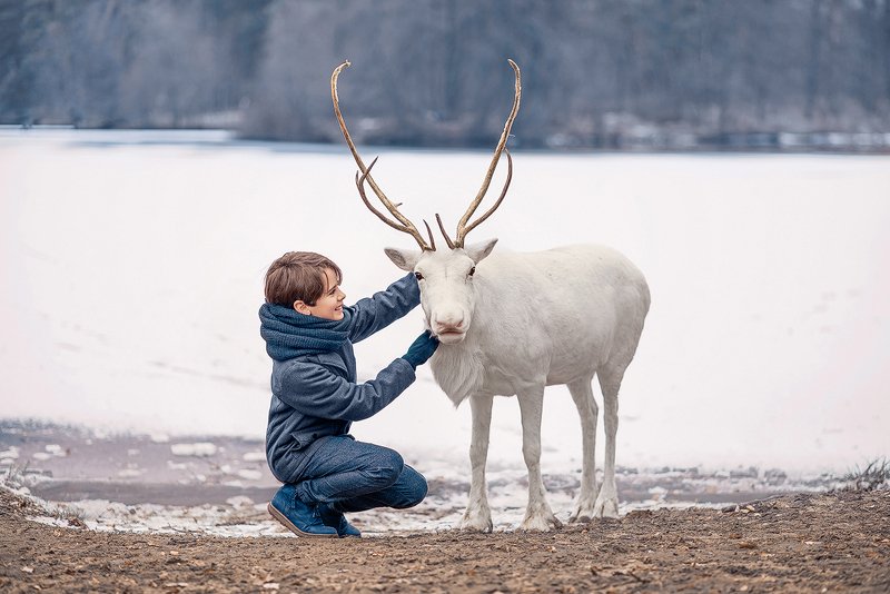 зима, зимний день, winter, дети, детство, зимняя фотосессия, детская фотосессия, белый олень, фотосессия с оленем, детская фотография, children photography, kid, children, child, childhood, детство, семейная фотосессия, дети модели, дети модели москва Petya фото превью