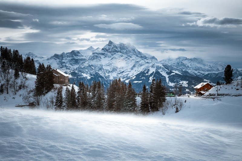 горы, метель,пурга, снег, ветер, швейцария *Метель* фото превью
