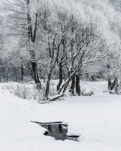 Не многословная зима