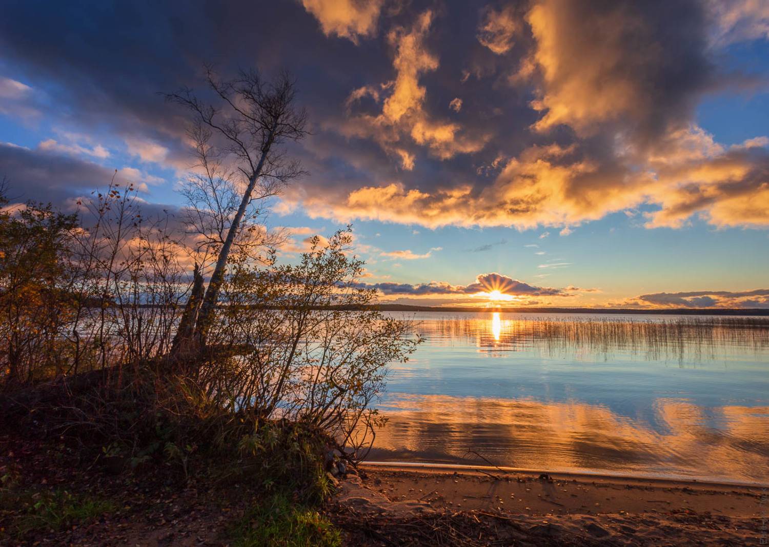 , Евгений Луцко