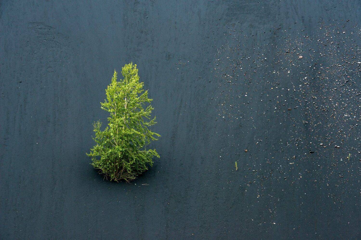 Урал  отвал, Кутыгин Эдуард