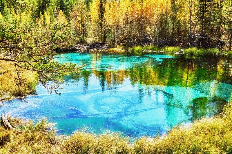 пейзаж, осень, озеро, Горный Алтай.  Краски осени Горного Алтая  фото превью